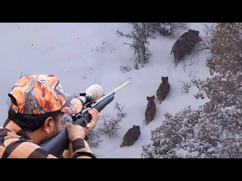 KAR FIRTINASINDA MACERALI DOMUZ AVI EN İYİ KARDA DOMUZ