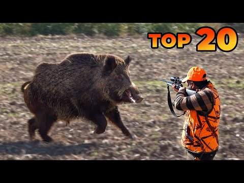 TOP 20 GIANT BOAR SHOTS THE MOST EXCITING HUNTS