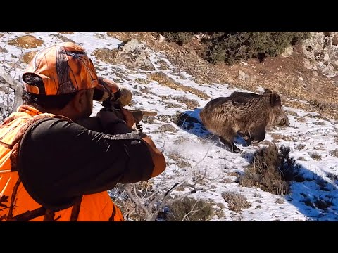 AMAZING RIFLE WILD BOAR SHOTS BİTMEYEN DOMUZ AVI MACERASI