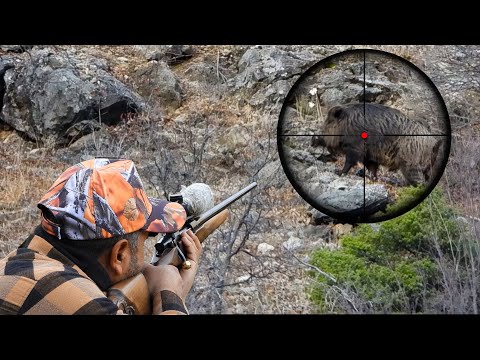 INCREDIBLE Long Range Wild Boar Hunting Shots Amazing