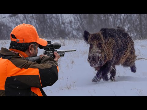 HUNTING GIANT BOARS IN A SNOWSTORM