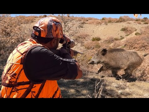 Ultimate BOAR HUNT Perfect LONG RANGE Rifle Shots Epic