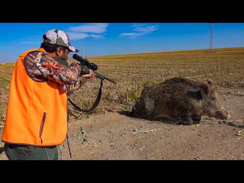 SWAMP MONSTER TOP MASSIVE BOAR HUNTS UNBELIEVABLE ACTION