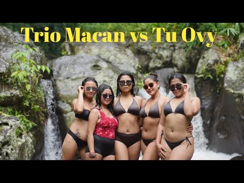 Trio Macan Tu Ovy di tukad batuliu
