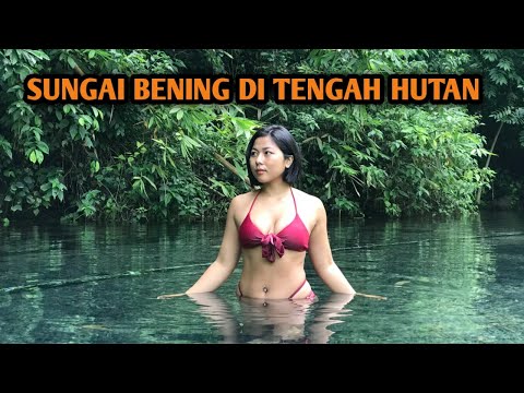 SUNGAI SUPER BENING DI TENGAH HUTAN TUKAD SUGANING