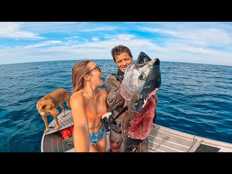 SHARK ATTACKS my Southern bluefin tuna while spearfishing