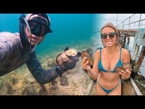This is ACTUAL Scallop diving madness Girlfriend dives for