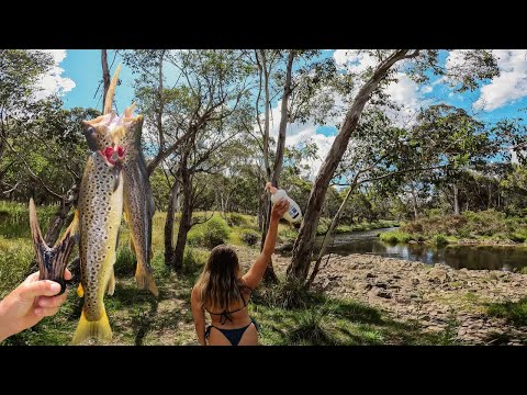 Epic FREE camps insane trout fishing Victoria High Country