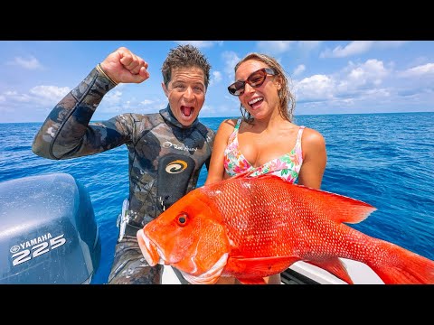 Island Camping North QLD REEF LIVING MASSIVE TUSKFISH Cat s