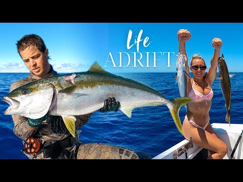 WE CAMPED ON BROUGHTON ISLAND SPEARED KINGFISH NSW