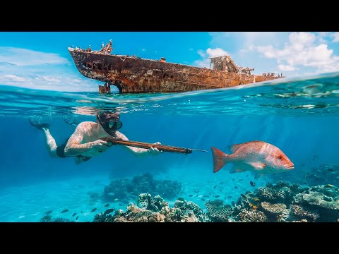 Exploring Remote Shipwrecks Spearfishing 30m Deep Wonky