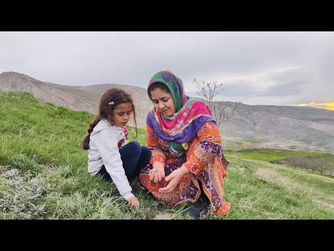 Daily routine village life in IRAN mountain plants of the