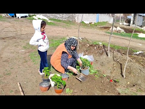 Daily routine village life in IRAN village lifestyle in