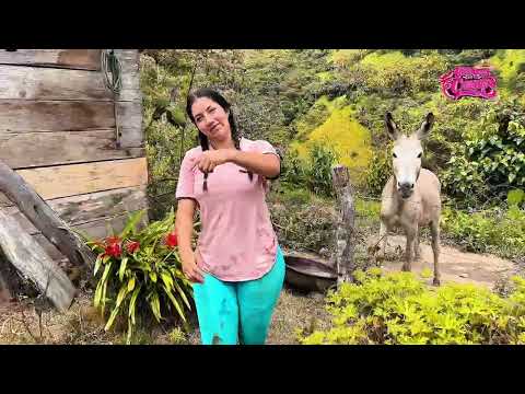 Así trabajo con mis herramientas en el campo Parte 2