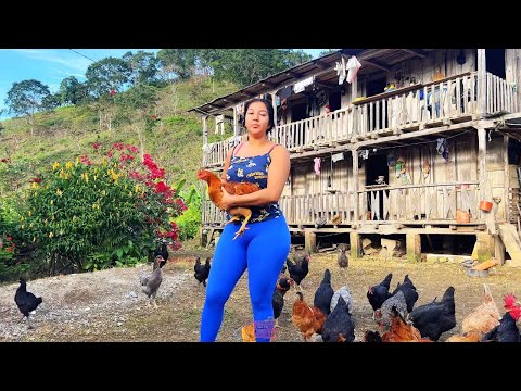 Acompáñame a preparar un caldo de gallina criolla