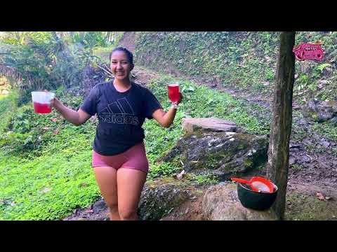 Te enseño a preparar una deliciosa horchata con plantas