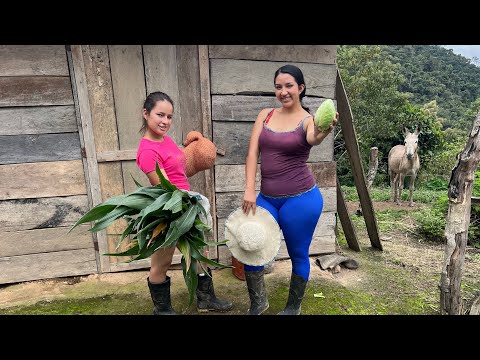 Así recogemos hierba fresca para mis cuyes en el campo
