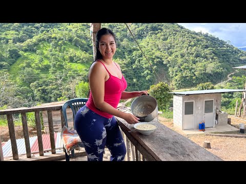 Así preparamos el calostro en el campo