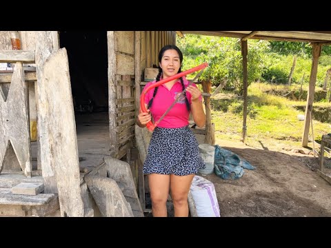 Hoy les enseño las herramientas que uso en el campo Parte 1