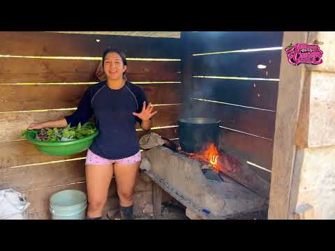 Preparando agua de plantas medicinales para curarme