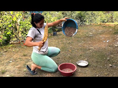 Acompáñame al proceso de hacer un buen café