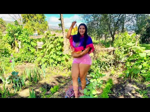 Recogiendo verduras y frutas en la Sierra