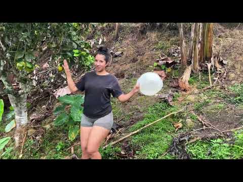 Les enseño la receta mas facil para hacer un jugo en el