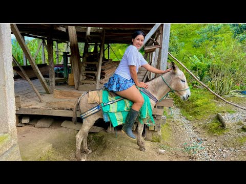 Te enseño como aprendi a montar burro en el campo