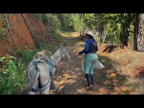 Les muestro de donde sacamos el agua en el campo