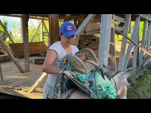 Así comenzamos el día mi burrito y yo Parte 1