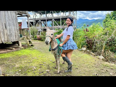 Curando a mi burrito en el campo