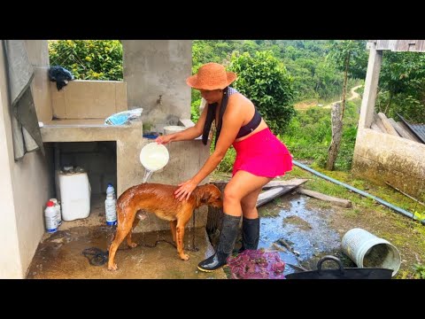 Así es como cuidamos nuestros animalitos