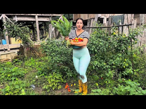 Acompáñame a recoger pimientos en mi jardín