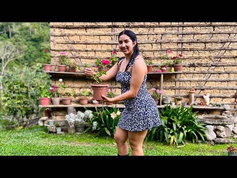 Mira como apodo mis flores en el campo