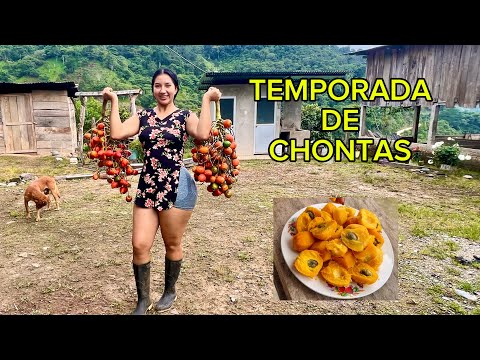 Así se cocinan las chontas en la Amazonia