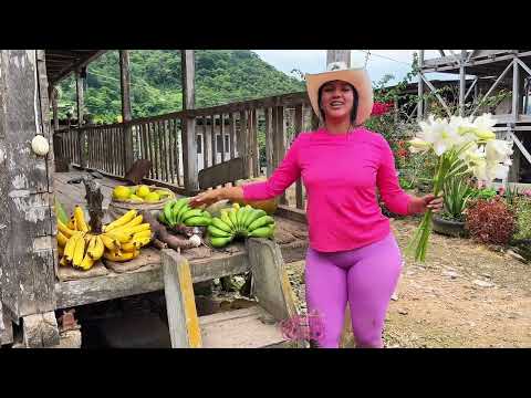 Recogiendo productos del campo para llevar a la cuidad