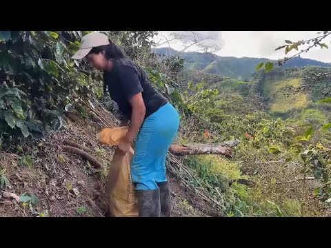 Esto es lo que hago un día en la finca
