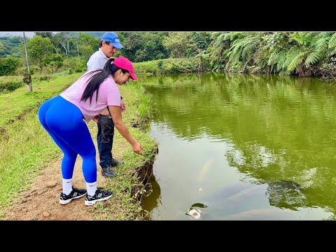 Conociendo al paiche el moustro de la Amazonía