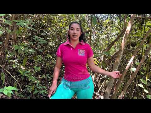 Quemando la hierba mala en la inverna