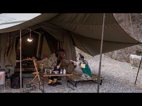Solo Camping in a Quiet Forest with My Dog Cozy Breezy and