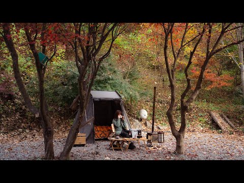 Minimal and Simple yet Luxurious and Cozy Camping under the