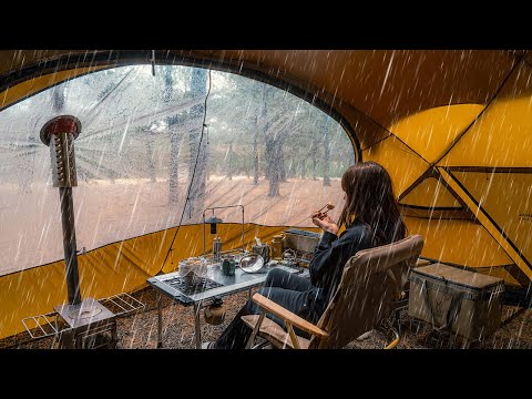Camping in the Rain Camping Alone in a pine forest where it