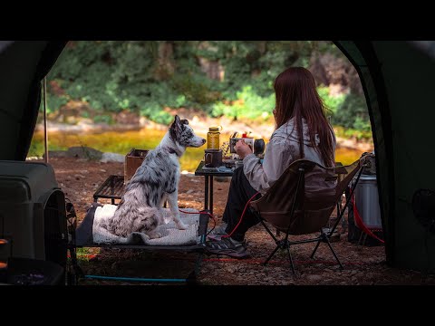 A Perfect Day Camping with my puppy in the creek Until We