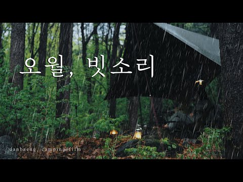 4K 오월 빗소리 우중캠핑 빗소리ASMR 빗소리 솔로캠핑 제로그램 엘찰텐
