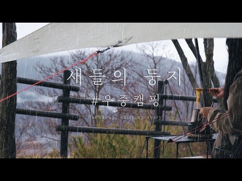 4K 새들의 둥지 l 동강전망자연휴양림ㅣ캠핑요리ㅣ우중캠핑 l 감성캠핑 l 캠핑장추천ㅣ힐레베르그ㅣ알락 eng