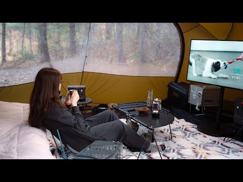 How to Camping in Luxury and Cozy in the forest Without