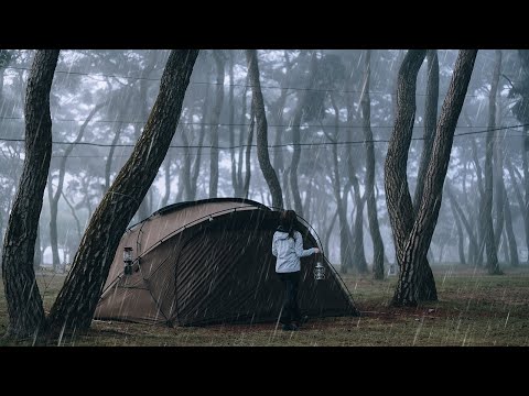 Solo Camping in the rain in the misty pine forest good rest