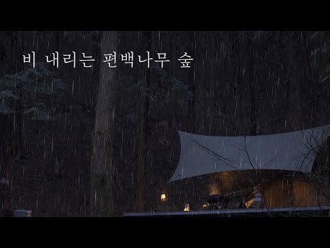 4K SOLO CAMPING in RAIN 비오는 숲 우중캠핑 relaxing in cosy Tarp