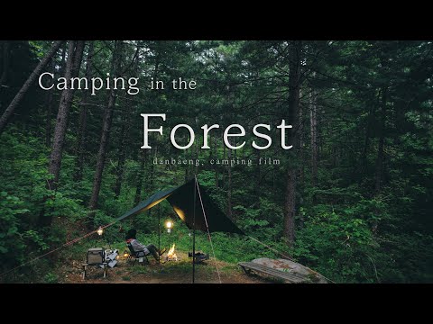 4K Camping in the Forest 숲속캠핑 자연ASMR 백색소음 솔로캠핑 엘찰텐