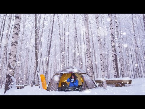 4K Camping in the snowy deep birch forest Best camping ever